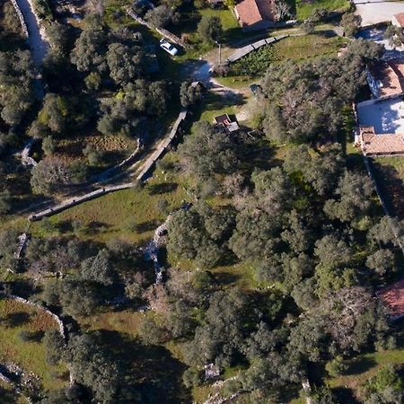 Quinta Dos Canteiros Fátima Kültér fotó